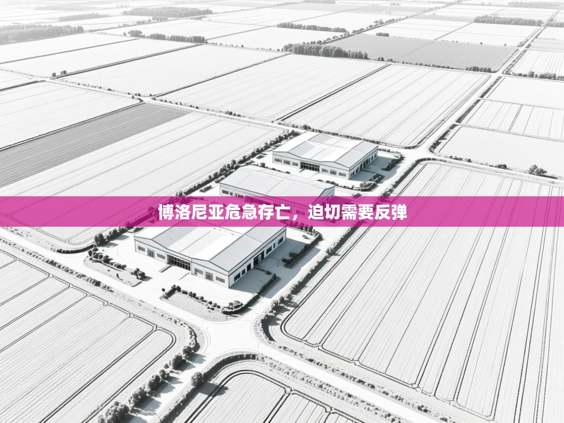 开云体育登录入口-博洛尼亚危急存亡,迫切需要反弹